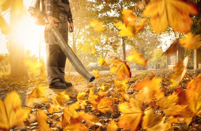 Leaf Blowing and Removal