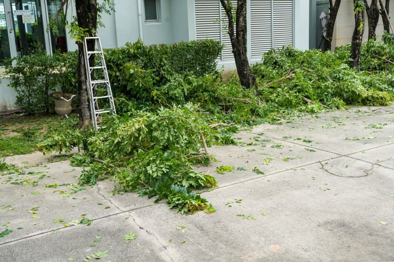 Leaf Removal Strategies