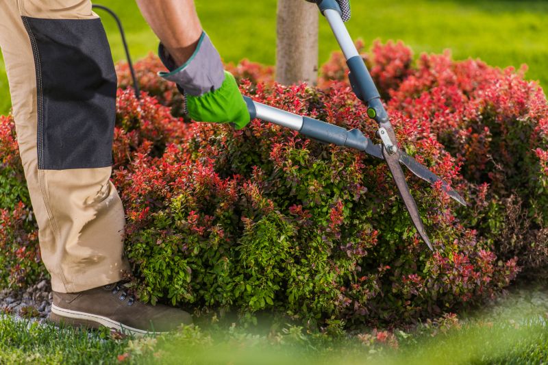 Spring Shrub Maintenance